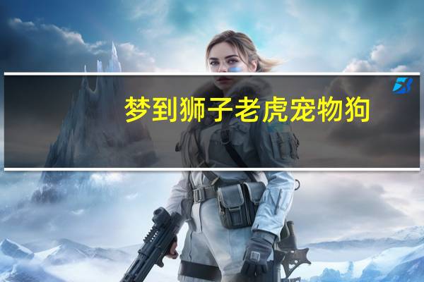 梦到狮子老虎宠物狗