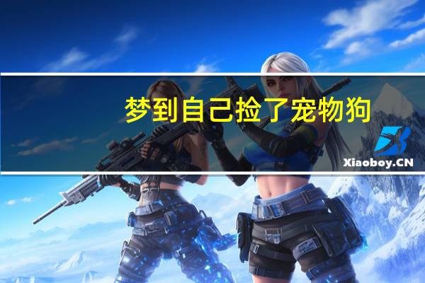 梦到自己捡了宠物狗