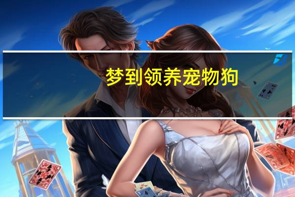 梦到领养宠物狗