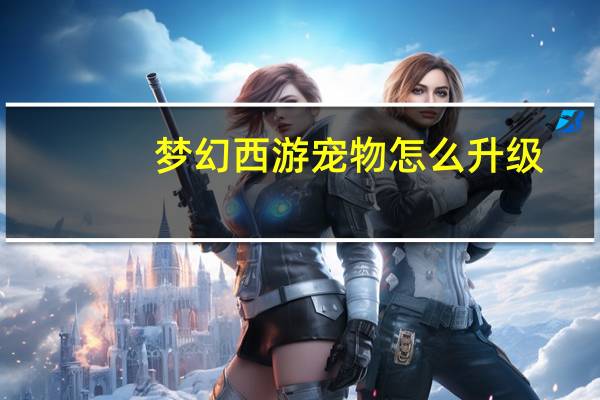 梦幻西游宠物怎么升级
