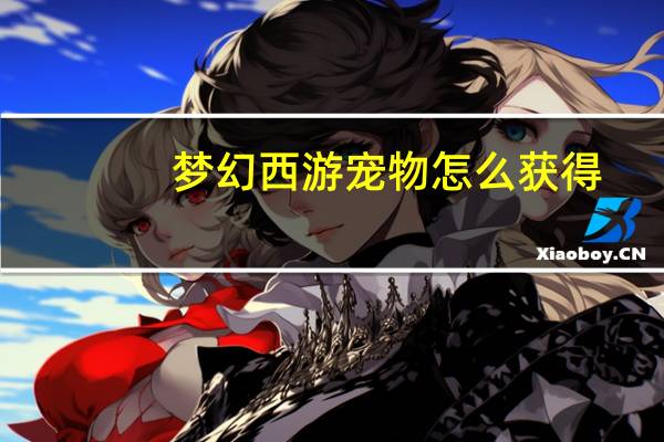 梦幻西游宠物怎么获得