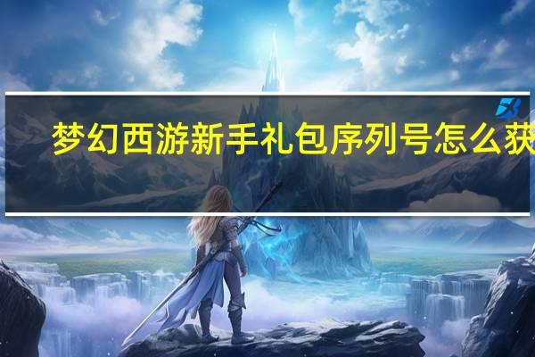 梦幻西游新手礼包序列号怎么获得（梦幻西游新手礼包序列号）