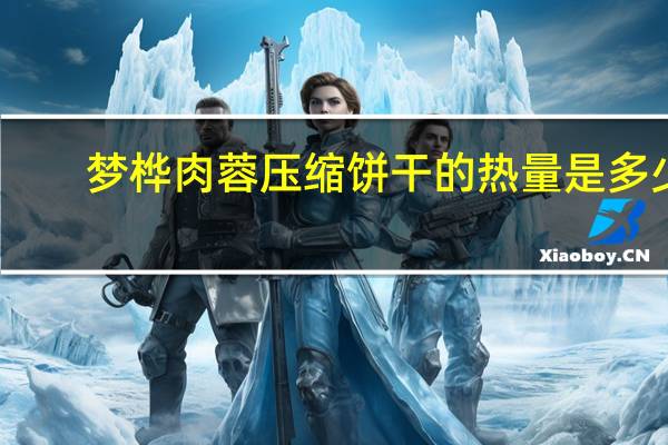 梦桦肉蓉压缩饼干的热量是多少