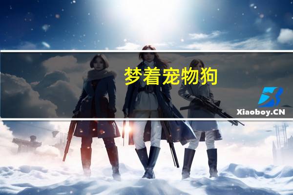 梦着宠物狗