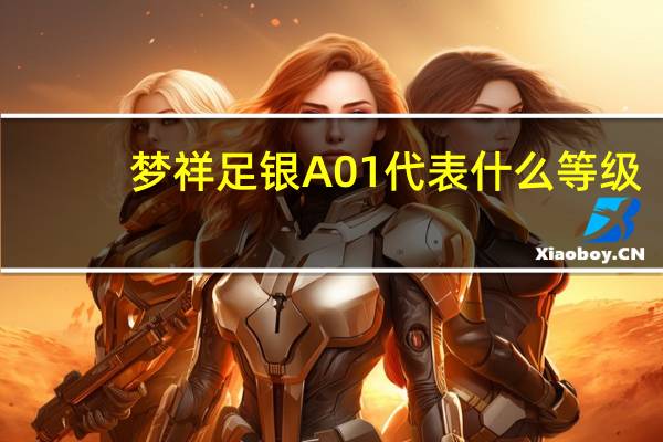 梦祥足银A01代表什么等级