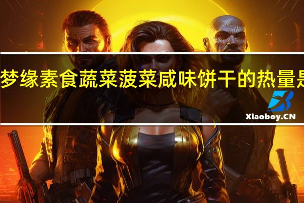 梦缘 素食蔬菜 菠菜咸味饼干的热量是多少