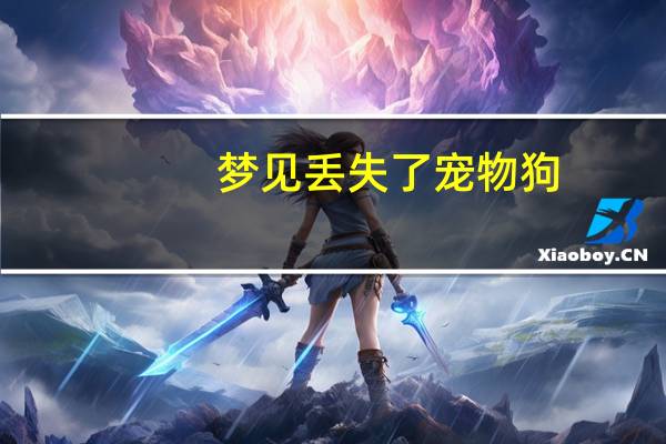 梦见丢失了宠物狗