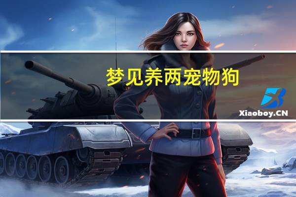 梦见养两宠物狗