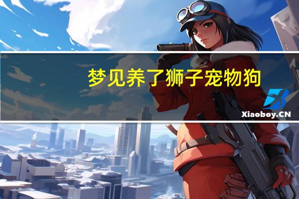 梦见养了狮子宠物狗
