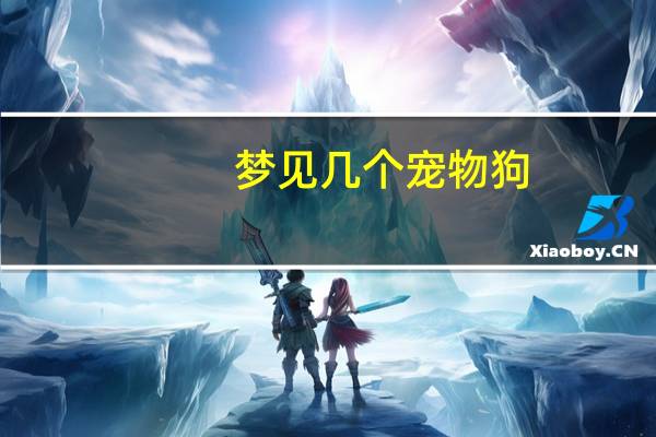 梦见几个宠物狗
