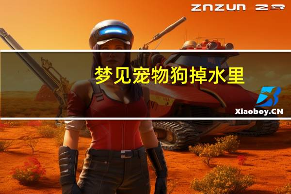 梦见宠物狗掉水里