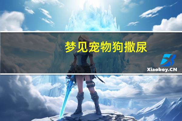 梦见宠物狗撒尿