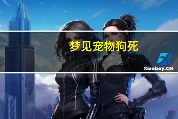 梦见宠物狗死