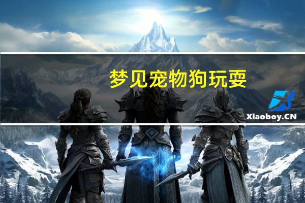 梦见宠物狗玩耍