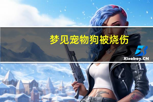 梦见宠物狗被烧伤