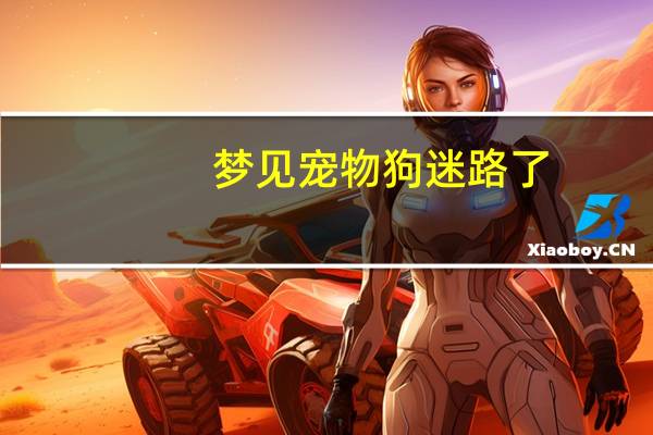 梦见宠物狗迷路了