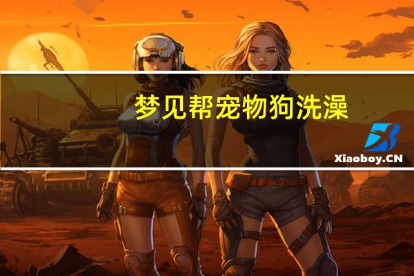 梦见帮宠物狗洗澡