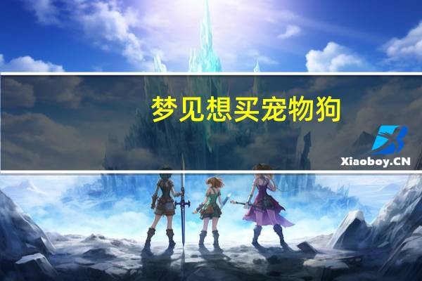 梦见想买宠物狗
