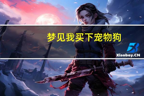 梦见我买下宠物狗