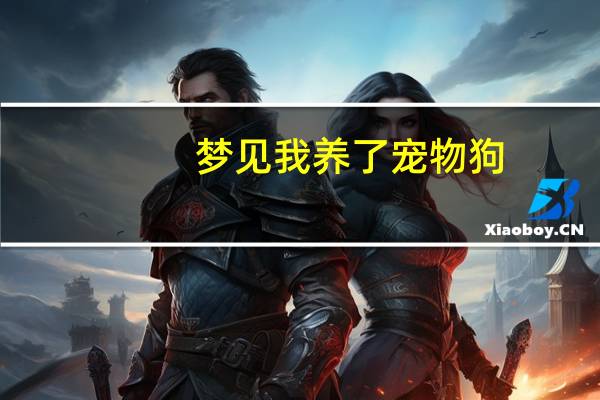 梦见我养了宠物狗
