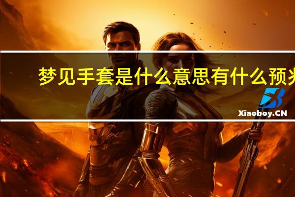 梦见手套是什么意思有什么预兆(白手套是什么意思)