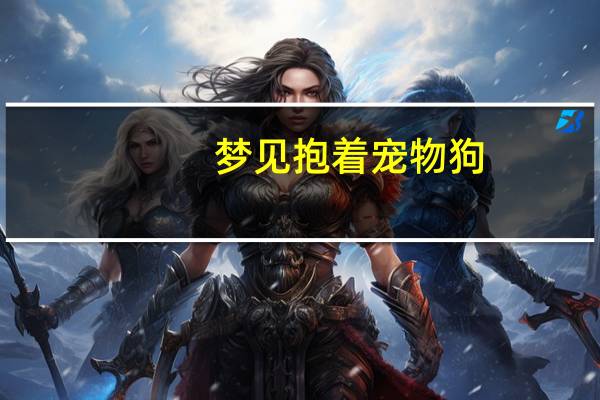 梦见抱着宠物狗