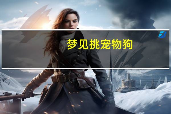 梦见挑宠物狗