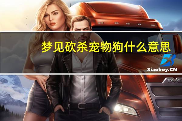 梦见砍杀宠物狗什么意思