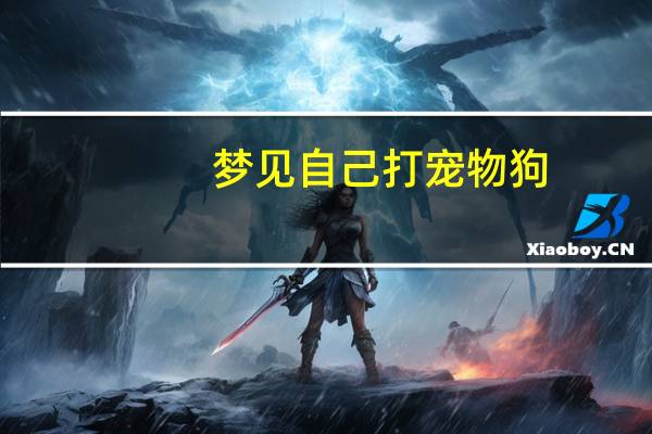 梦见自己打宠物狗