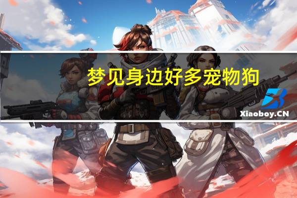 梦见身边好多宠物狗