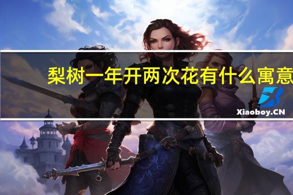 梨树一年开两次花有什么寓意