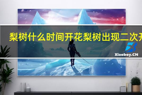 梨树什么时间开花 梨树出现二次开花
