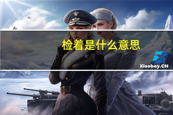 检着是什么意思