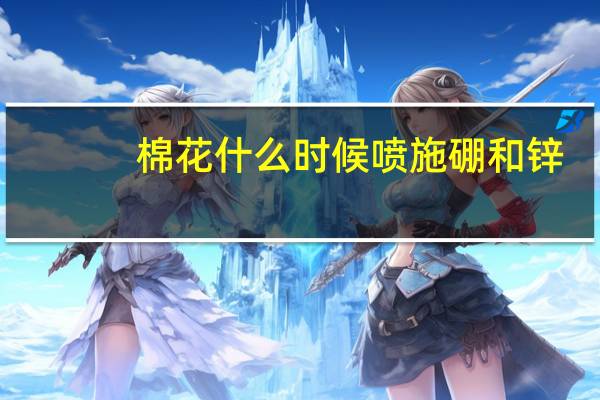 棉花什么时候喷施硼和锌