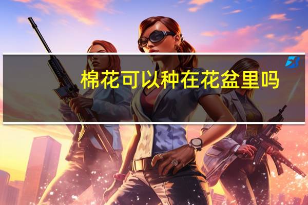 棉花可以种在花盆里吗