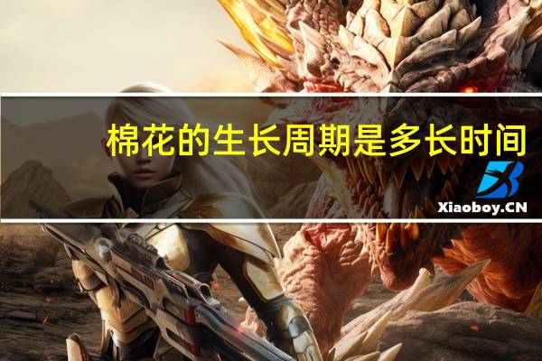 棉花的生长周期是多长时间