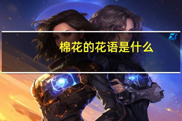 棉花的花语是什么