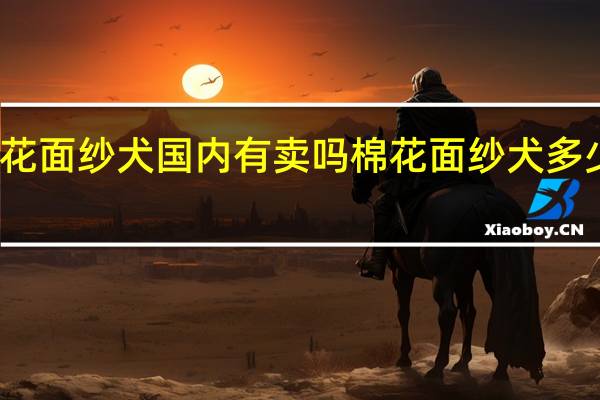 棉花面纱犬国内有卖吗 棉花面纱犬多少钱一只