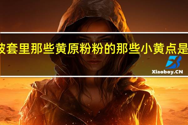棉被套里那些黄原粉粉的那些小黄点是什么东西