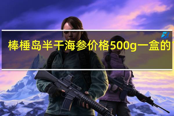 棒棰岛半干海参价格500g一盒的15头---25头的,请问多少钱一斤 好的干海参多少钱一斤