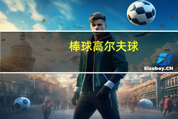 棒球高尔夫球（棒球高手简介）