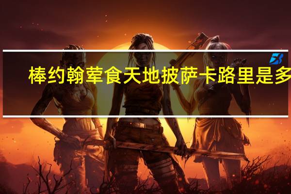 棒约翰 荤食天地披萨卡路里是多少