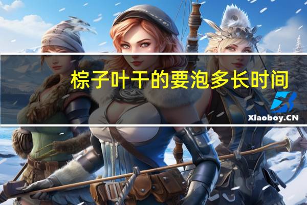 棕子叶干的要泡多长时间