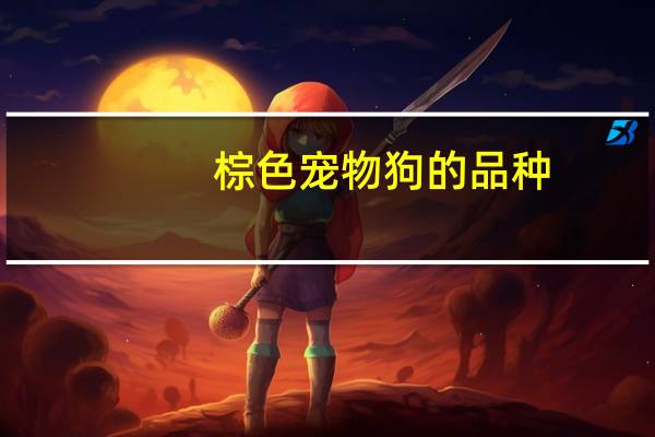 棕色宠物狗的品种