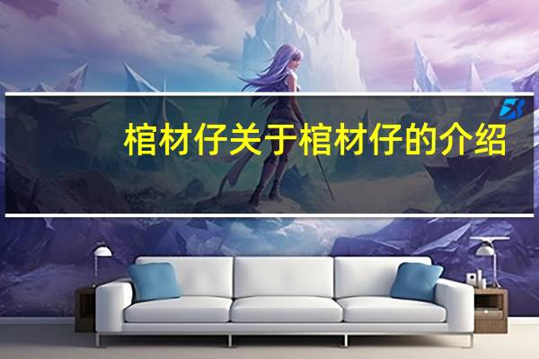 棺材仔 关于棺材仔的介绍