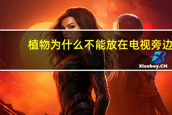 植物为什么不能放在电视旁边