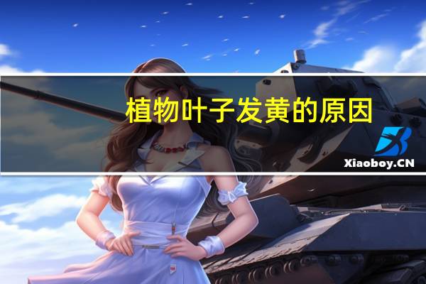 植物叶子发黄的原因：发黄的原因及解决办法