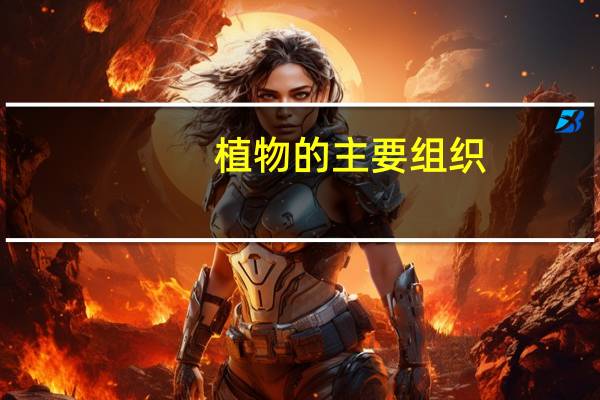 植物的主要组织