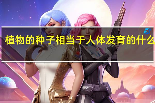 植物的种子相当于人体发育的什么阶段