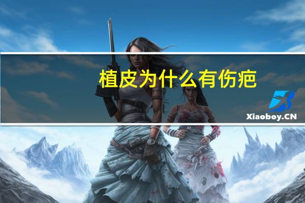 植皮为什么有伤疤(植皮手术后疤痕发痒怎么办)